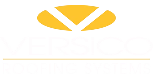 absolute roofing services
