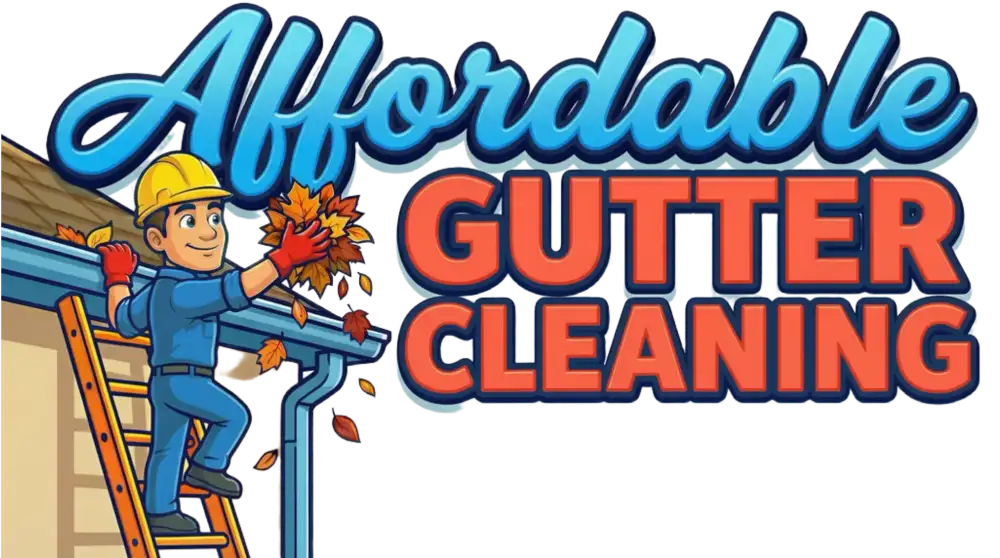 Affordable Gutter Cleaning