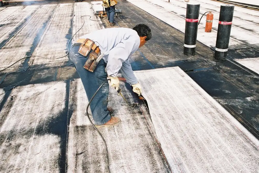 Bligh Roof Co