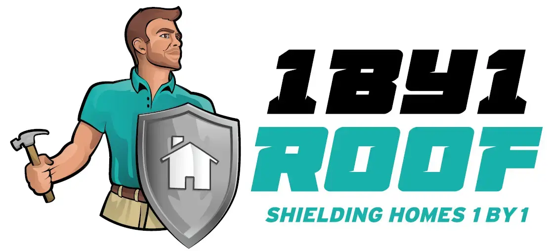 1 By 1 Roof, Solar, & Paint