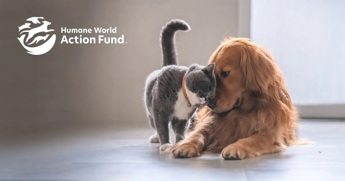 The Humane Society Of T